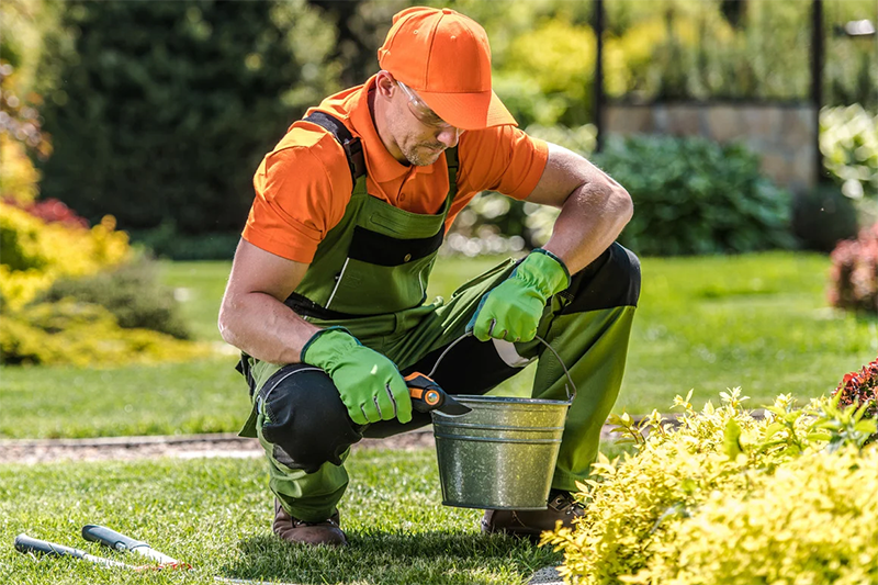 summer-yard-work-img