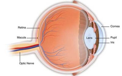 Reduce Your Dependence on Glasses or Contacts with Refractive Surgery
