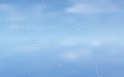 Flashes and Floaters