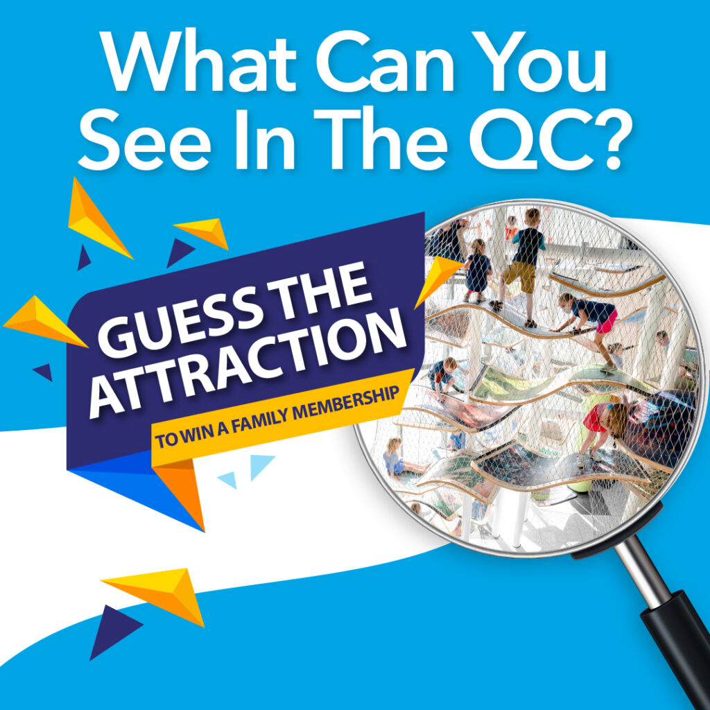 December What Can You See in the QC? Contest
