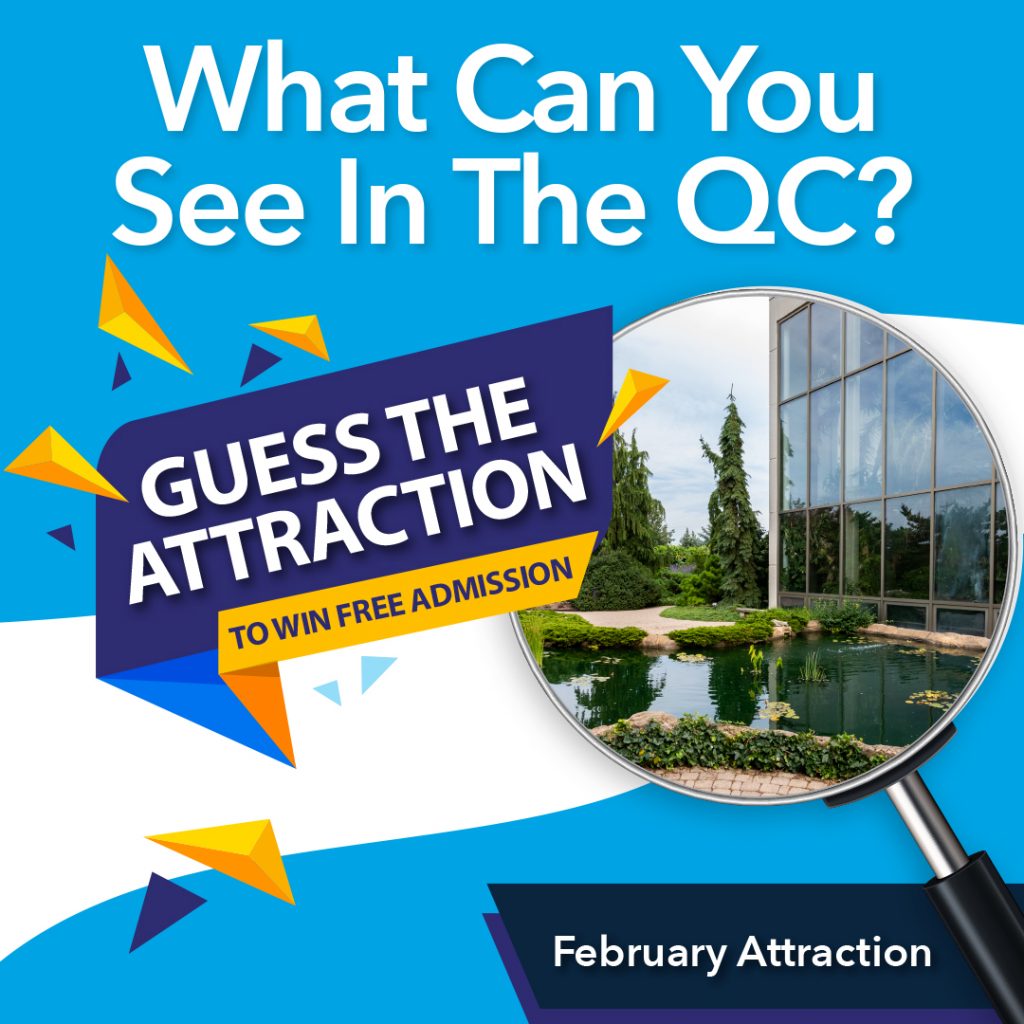 February attraction