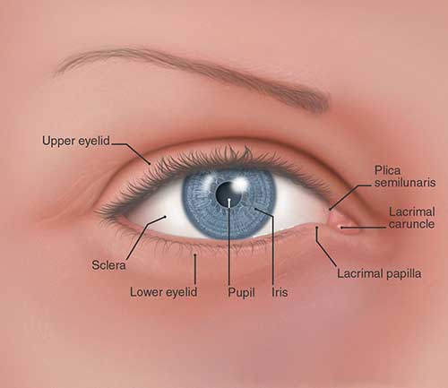 Dr James F Paul Dds Ms Md Davenport Ia Reconstructive Plastic Surgery Request Appointment