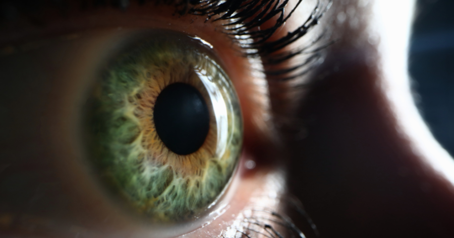 What is Age-Related Macular Degeneration?